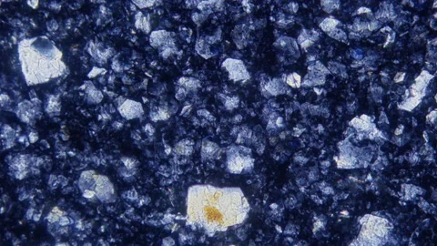 Bee Honey. Multiple magnification. Microbiological laboratory. Crystals Stock Footage 210240386