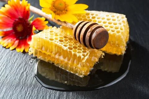 Bee Honey Stock Photos
