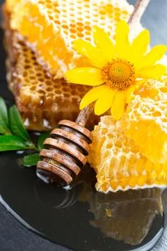 Bee Honey Stock Photos