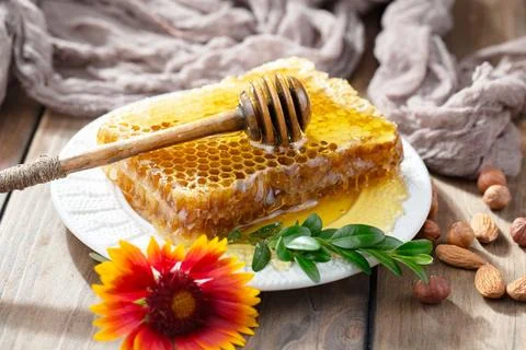Bee Honey Stock Photos