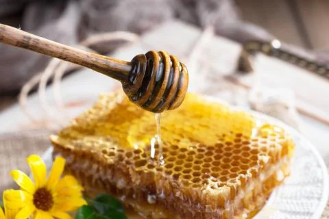 Bee Honey Stock Photos