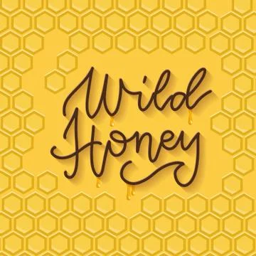 Bee honey typographic design. Linear trendy lettering with honeycomb pattern. Stock Illustration
