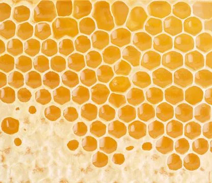 Bee honeycomb closeup, fresh stringy dripping sweet honey, macro background Stock Photos