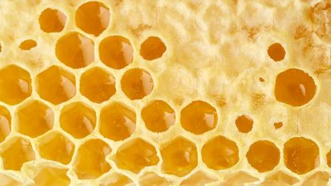 Bee honeycomb closeup, fresh stringy dripping sweet honey, macro background Stock Photos