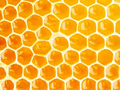 Bee honeycomb closeup, fresh stringy dripping sweet honey, macro background Stock Photos