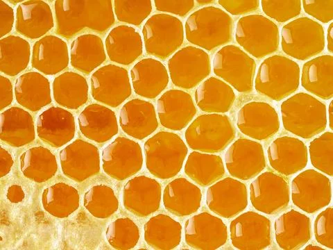 Bee honeycomb closeup, fresh stringy dripping sweet honey, macro background Stock Photos