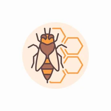 Bee with honeycomb flat icon Stock Illustration