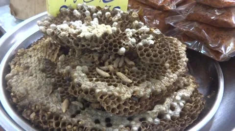 Bee in honeycomb 스톡 동영상 48476146
