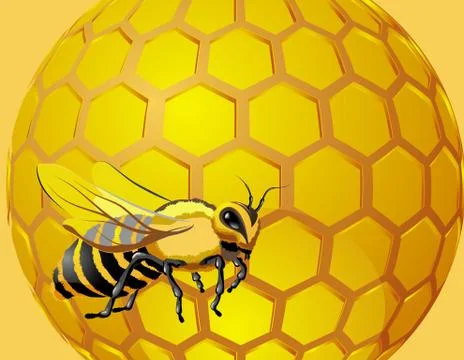 Bee with honeycomb Stock Illustration
