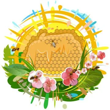 Bee honeycomb. Stock Illustration