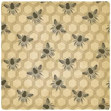 Bee honeycomb pattern Stock Illustration