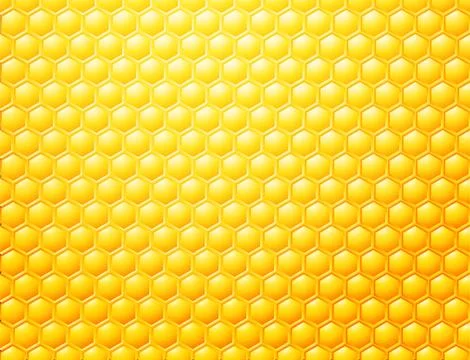 Bee honeycombs background, template for your design, stock vector illustratio Stock Illustration