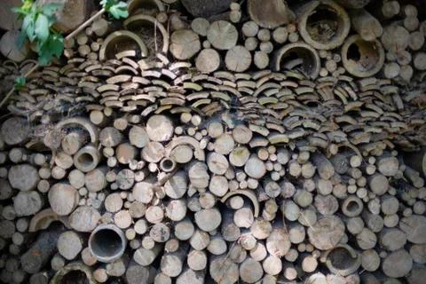 Bee Hotel Stockfoto's