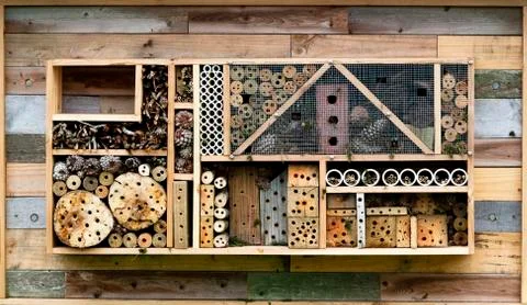 Bee hotel Stock Photos