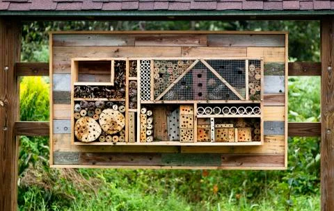 Bee hotel 写真素材