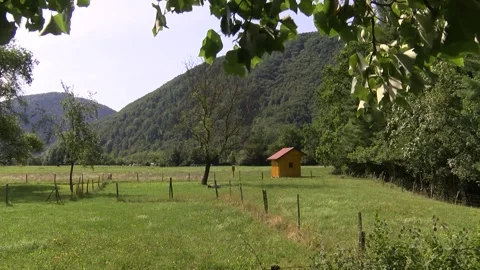 Bee house on field with tree leaves in foreground, natural daylight, wide shot Stock Footage 328670262