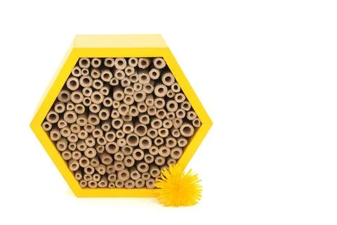Bee House Hexagonal Shape for Conservation of Bees Stock Photos