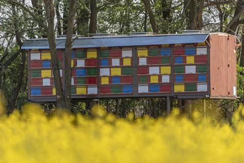 Bee house Stock Photos