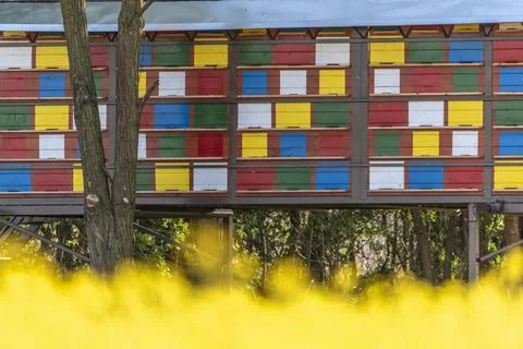 Bee house Stock-Fotos