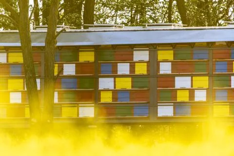 Bee house Stock Photos