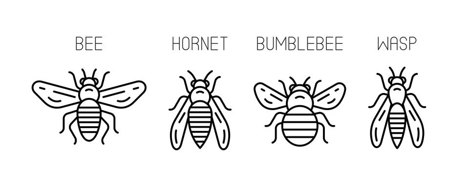 Bee icons Stock Illustration