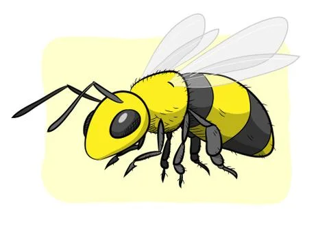 Bee Stock Illustration