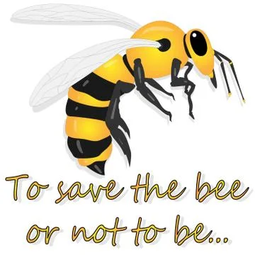 Bee illustration - vector text quotes and bee drawing. Lettering poster or t- Stock Illustration