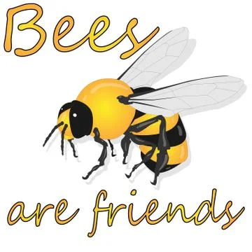 Bee illustration - vector text quotes and bee drawing. Lettering poster or t- Stock Illustration