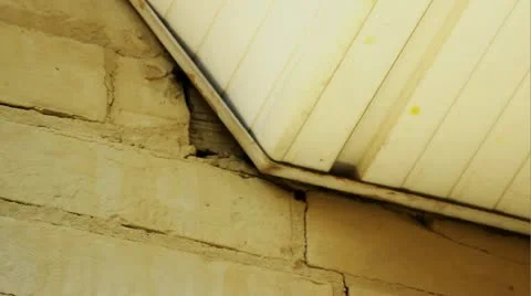 Bee Infestation 스톡 동영상 11895137