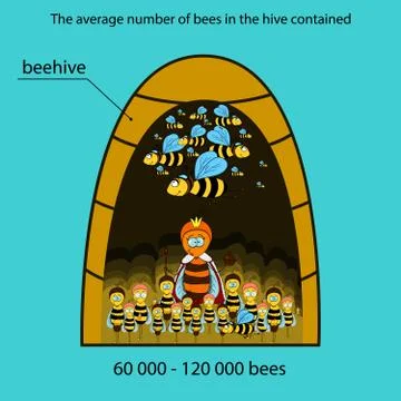 Bee infographics Stock Illustration