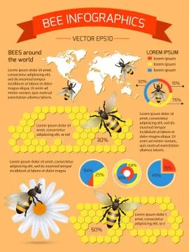 Bee infographics set Illustrazione stock