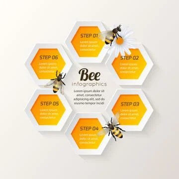 Bee infographics steps Illustrazione stock