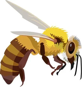 Bee Insect Animal Stock Illustration