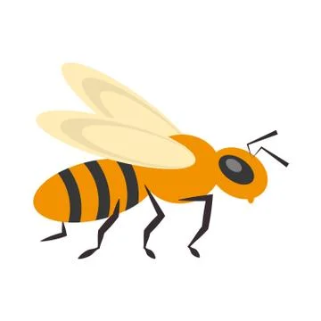Bee insect flower pollen Stock Illustration