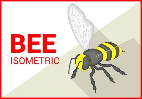 Bee isometric flat vector 3d Honey bee insect isometric flat vector 3d ill... Stock Photos