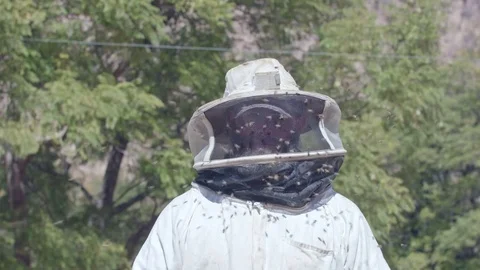 Bee keeper adjusts his hood as bees swarm about 50 fps Stock Footage