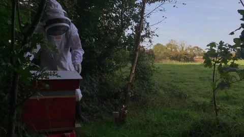 Bee Keeper and his bees. Stock Footage 256670826