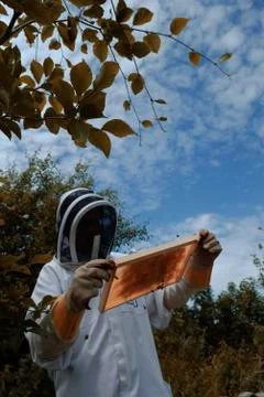 Bee Keeper blue sky 写真素材