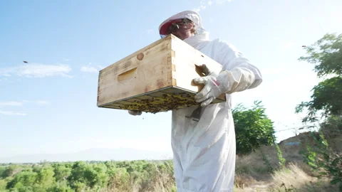 Bee keeper carrying bee box Stock-Footage 279114508