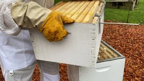 Bee keeper, dressed in protective suit and gloves, lifts a honey super box Stock Footage 129291362