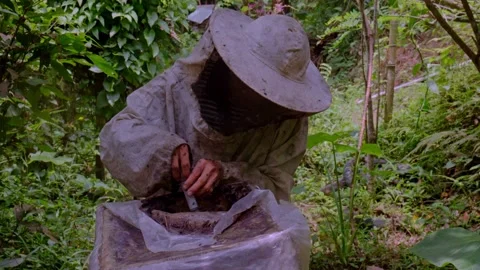 Bee Keeper Stock Footage 305333378