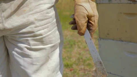 Bee keeper holding j-hook tool Stock Footage 111992458