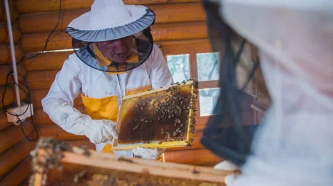 Bee keeper looking the panel full of bees Vídeos de archivo 45739450