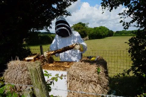 Bee Keeper 写真素材