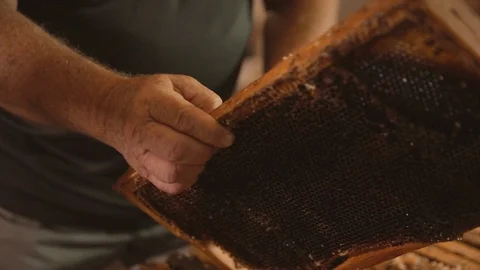 Bee keeper prepping honeycomb for extraction Stock Footage 111993033