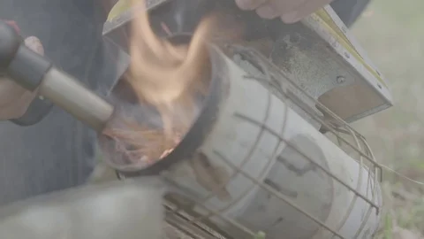 Bee keeper smoker Stock Footage 73882576