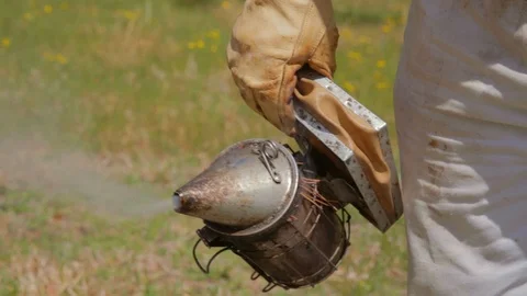Bee keeper with smoker tool Stock Footage 111992432