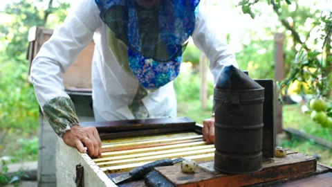 Bee-keeper takes out of the beehive or apiary the frame for bees Stock-Footage 101438811