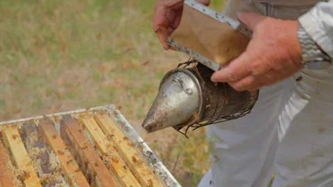 Bee keeper using smoker on bee hive Stock Footage 111995339