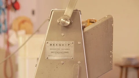 Bee keeper using tools Stock Footage 111993021